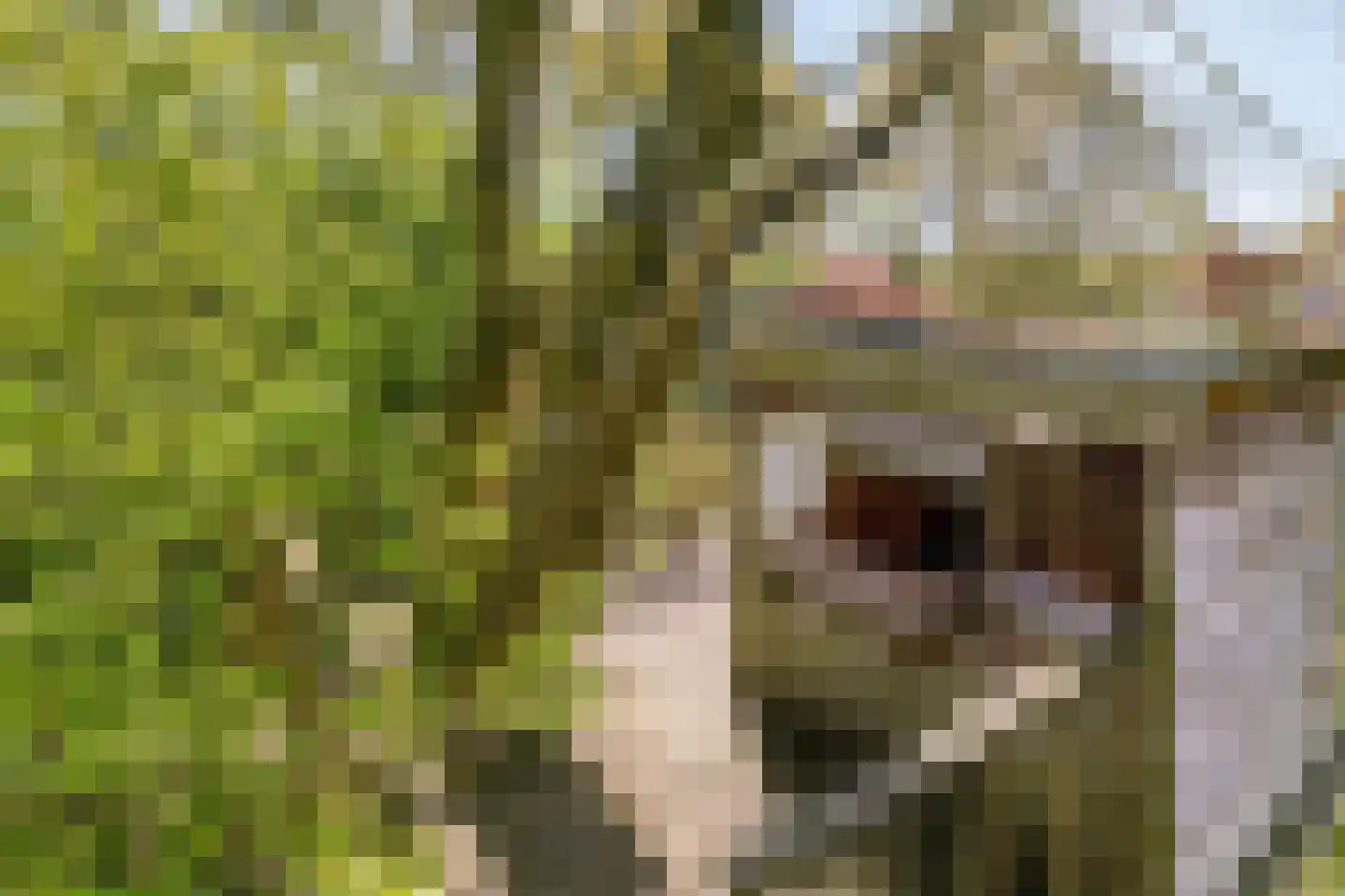 Hoofdweg 19 Elsloo thumbnail 65