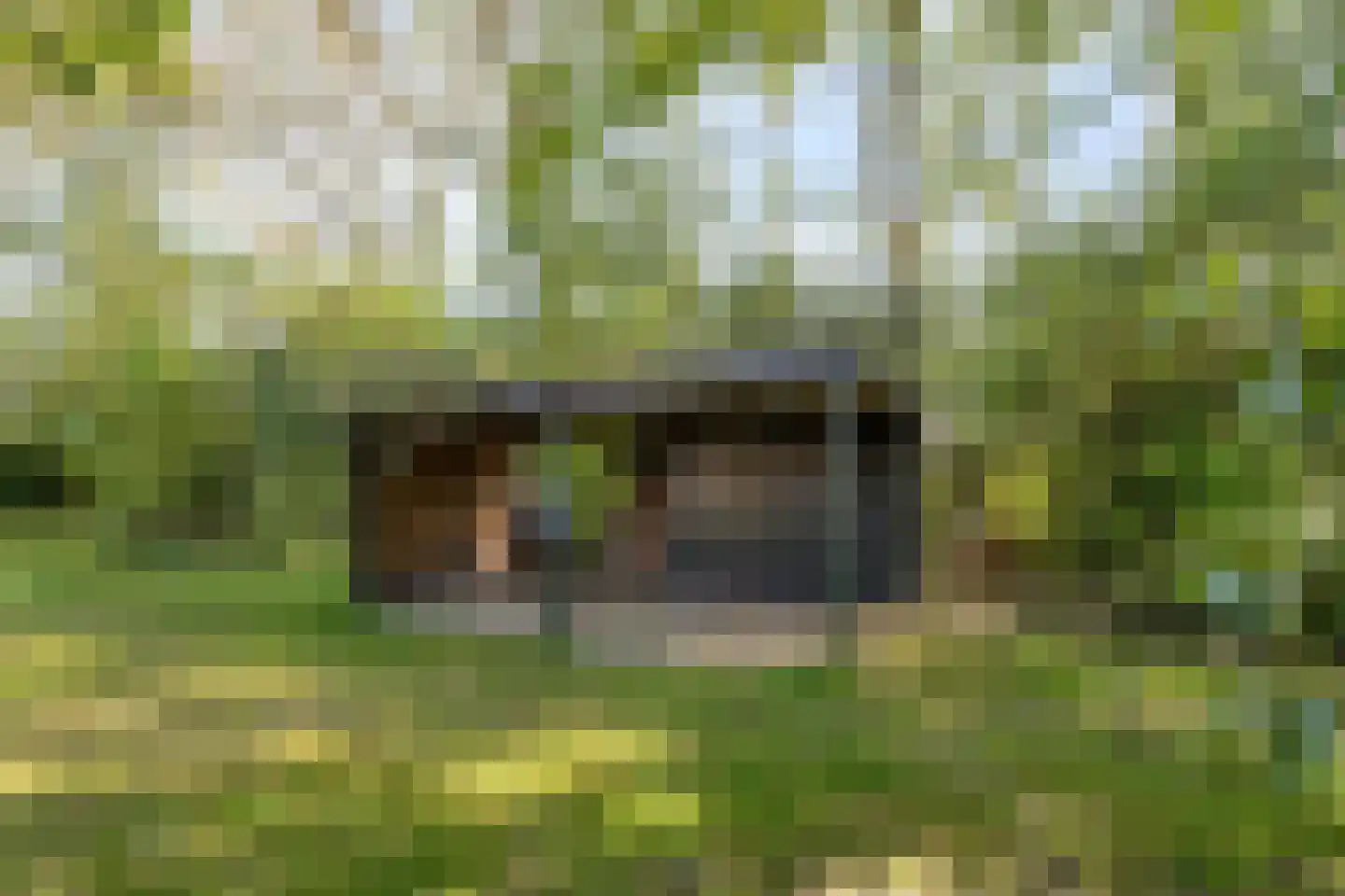 Hoofdweg 19 Elsloo thumbnail 67