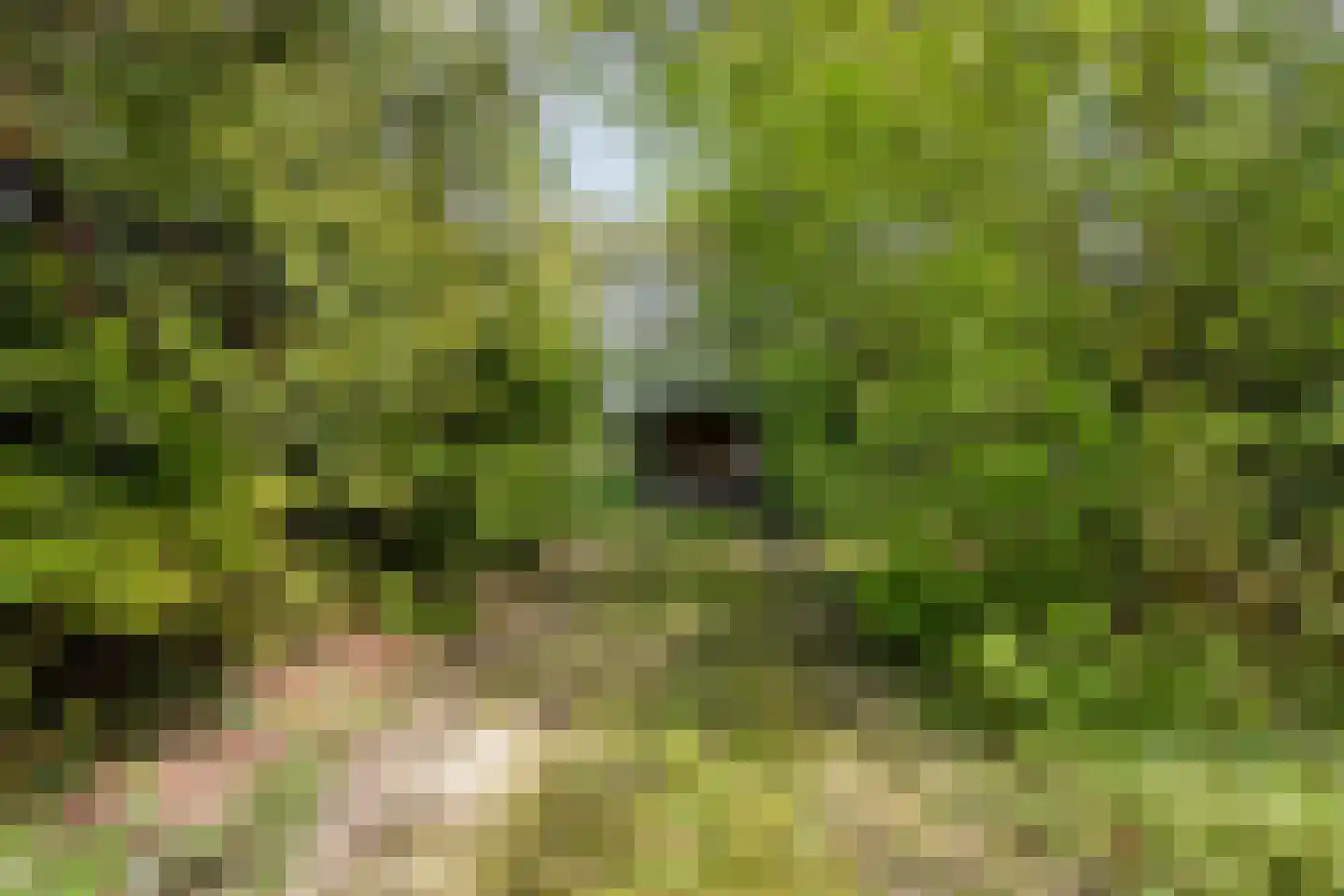 Hoofdweg 19 Elsloo thumbnail 68