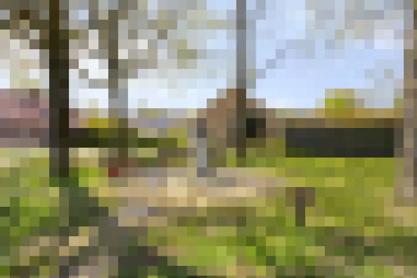 Hoofdweg 19 Elsloo thumbnail 71