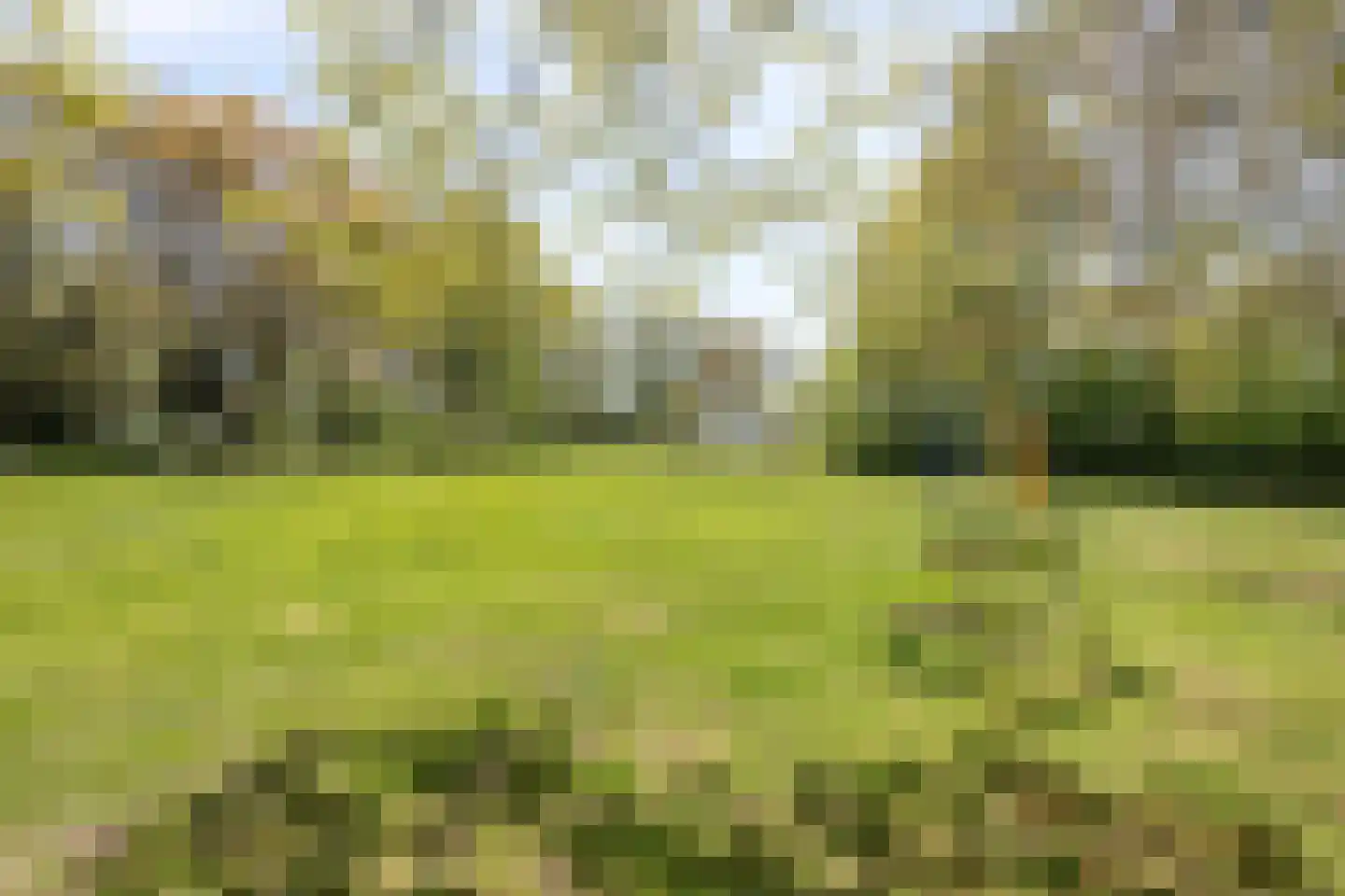 Hoofdweg 19 Elsloo thumbnail 72
