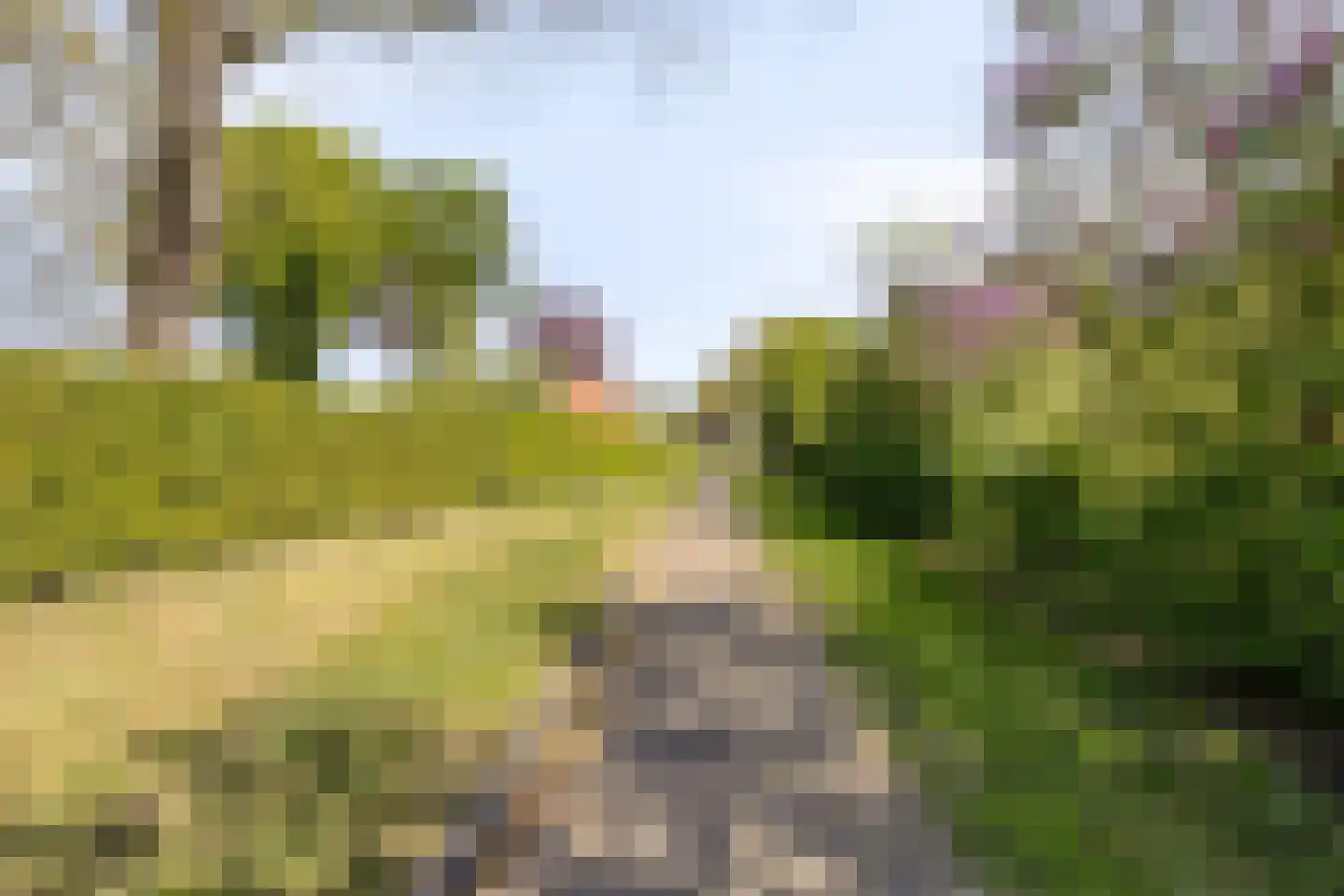 Hoofdweg 19 Elsloo thumbnail 73