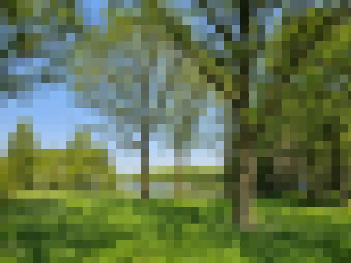Hoofdweg 19 Elsloo thumbnail 74
