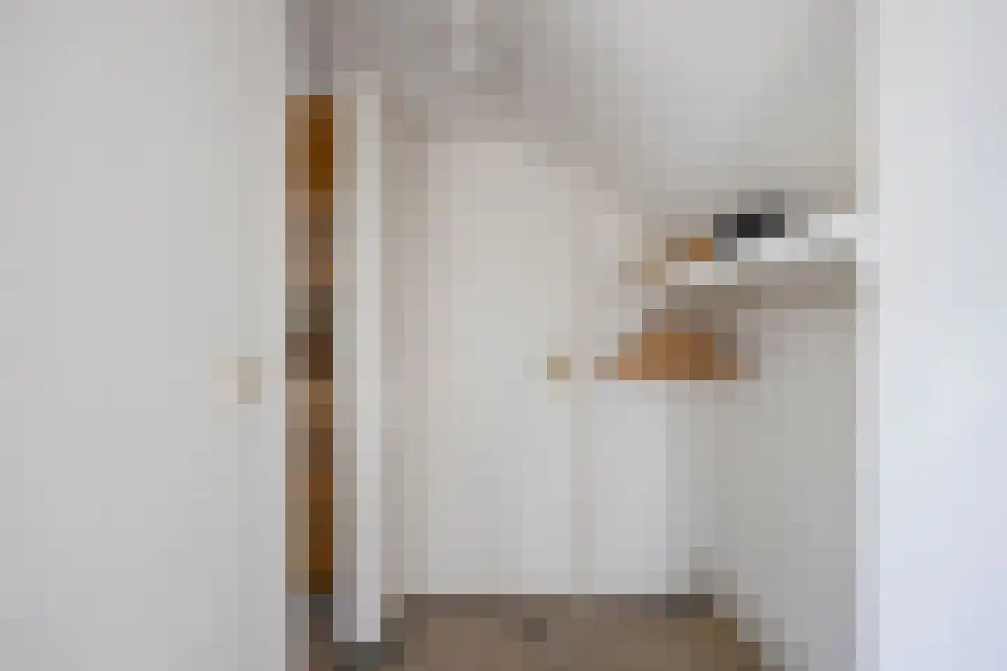 Hoofdweg 19 Elsloo thumbnail 8