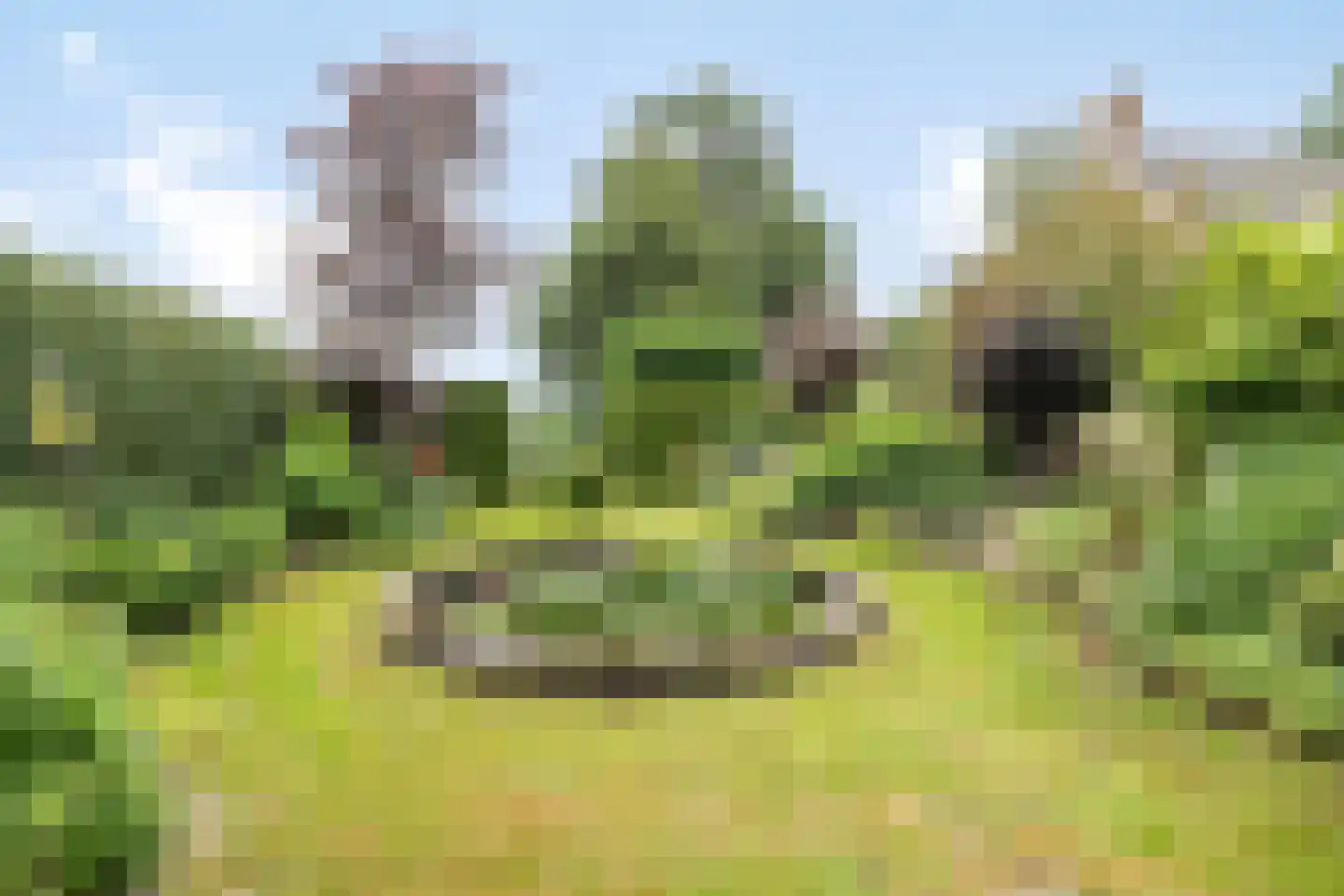 Hoofdweg 193 Harkstede GN thumbnail 24