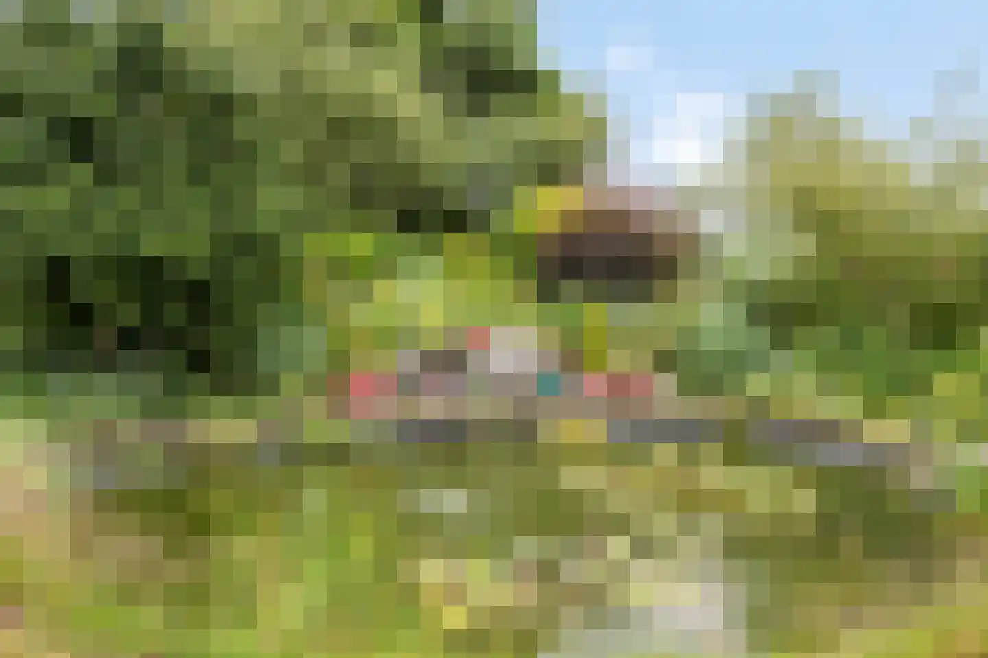 Hoofdweg 193 Harkstede GN thumbnail 26