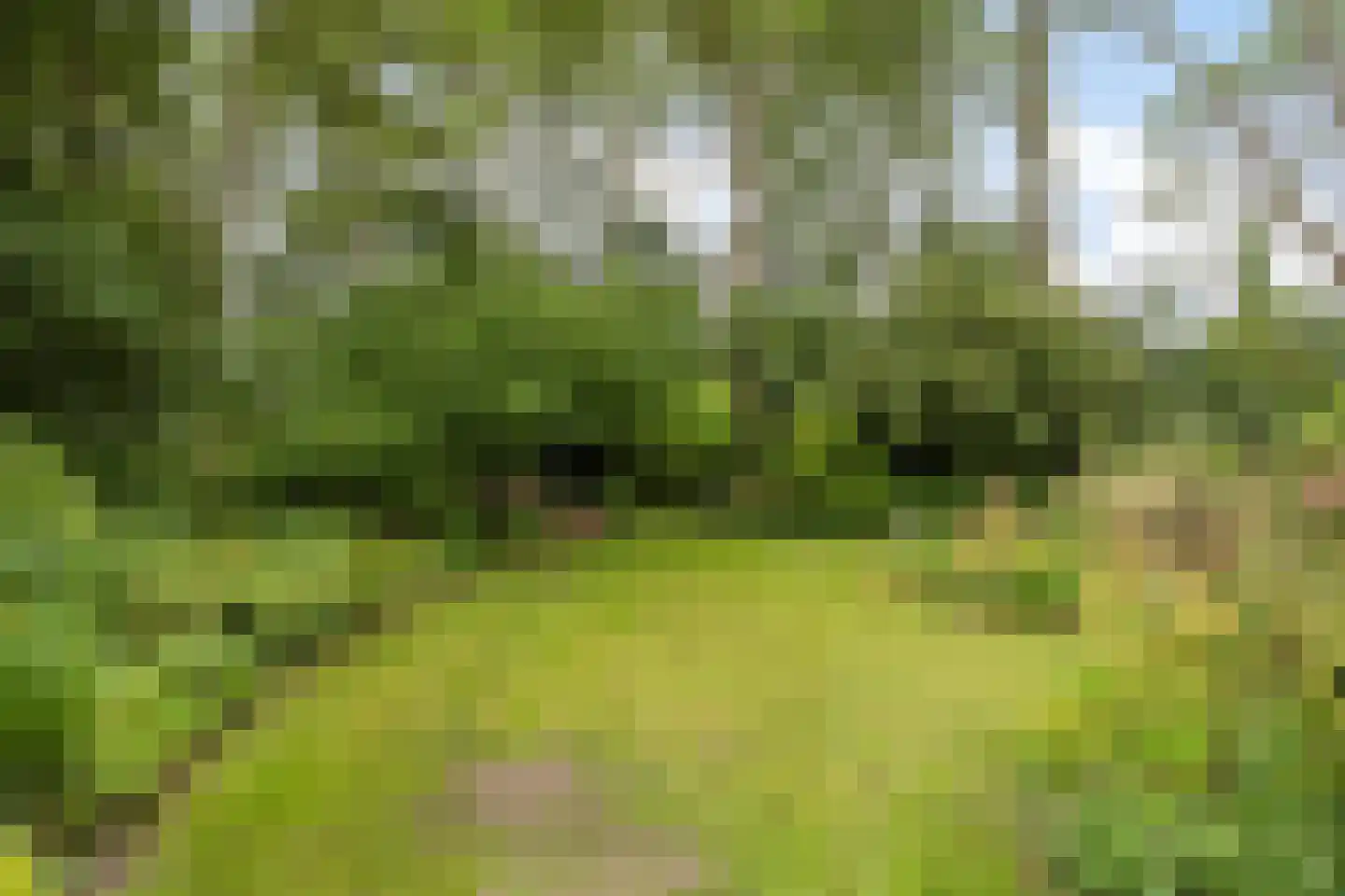 Hoofdweg 193 Harkstede GN thumbnail 32