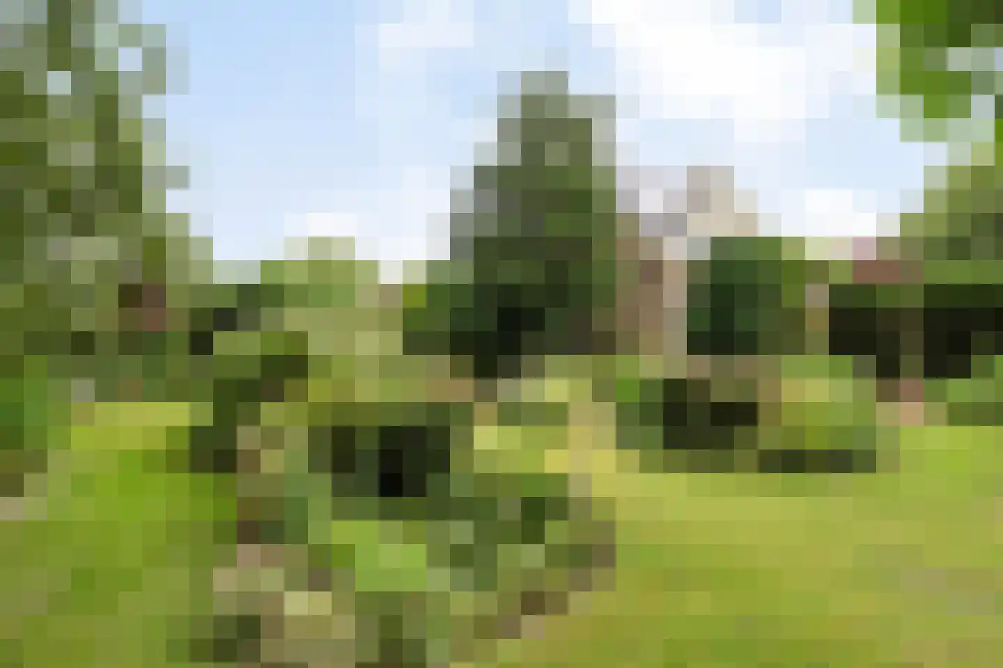 Hoofdweg 193 Harkstede GN thumbnail 33