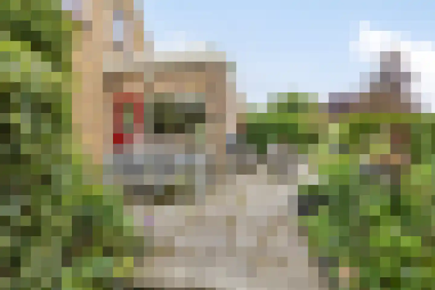 Hoofdweg 193 Harkstede GN thumbnail 35