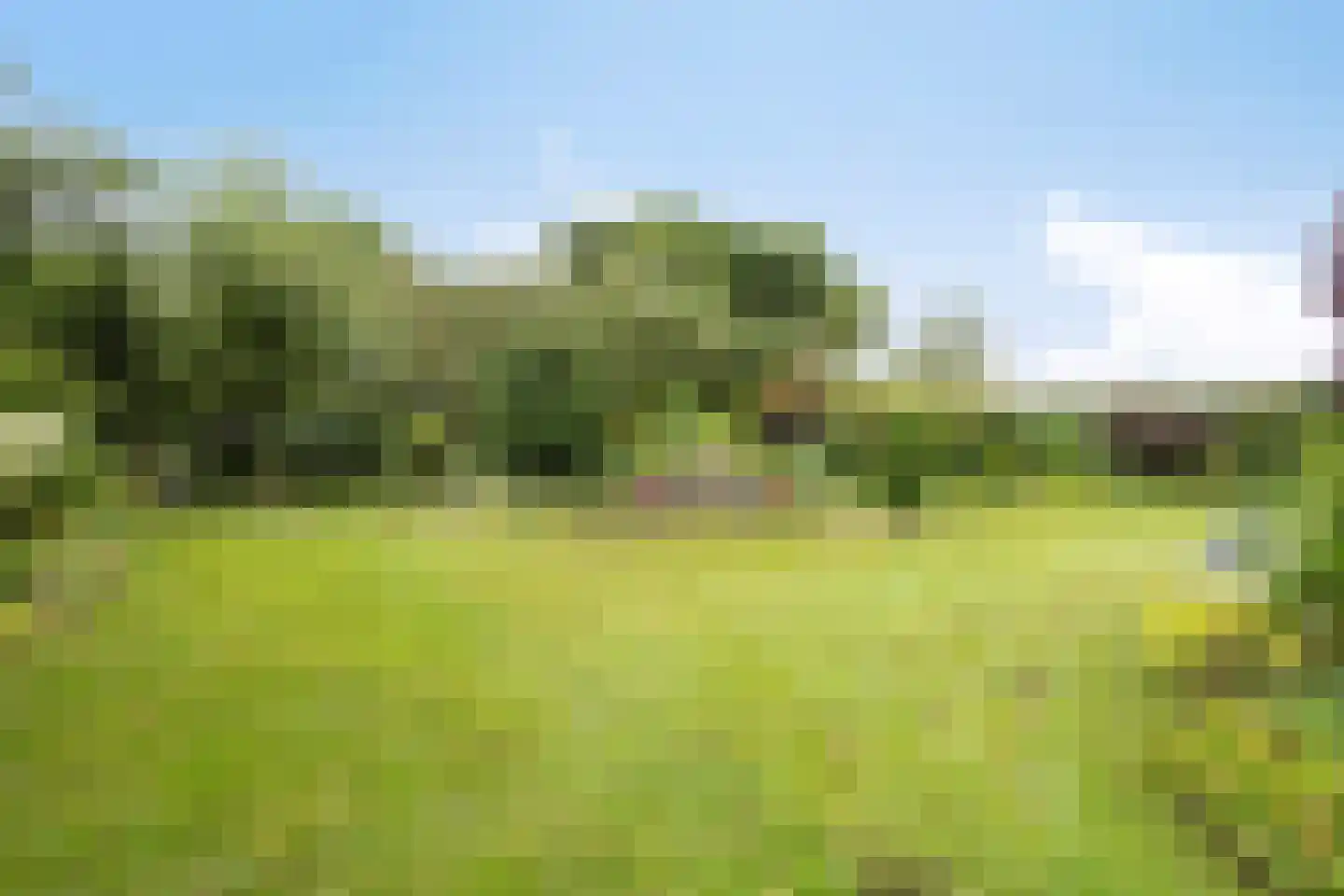 Hoofdweg 193 Harkstede GN thumbnail 41
