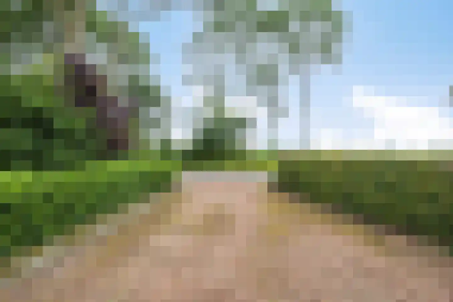 Hoofdweg 193 Harkstede GN thumbnail 5