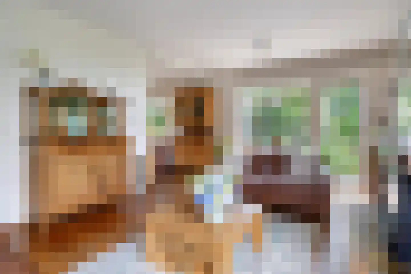Hoofdweg 193 Harkstede GN thumbnail 8