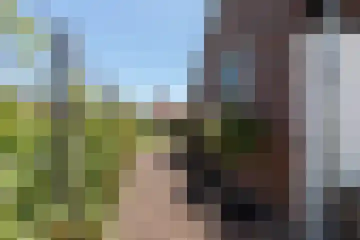 Hoofdweg 193 Siddeburen thumbnail 18