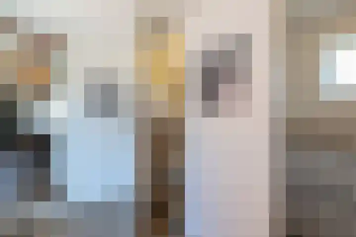Hoofdweg 193 Siddeburen thumbnail 25