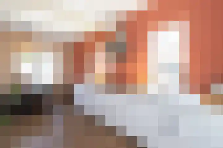 Hoofdweg 193 Siddeburen thumbnail 34