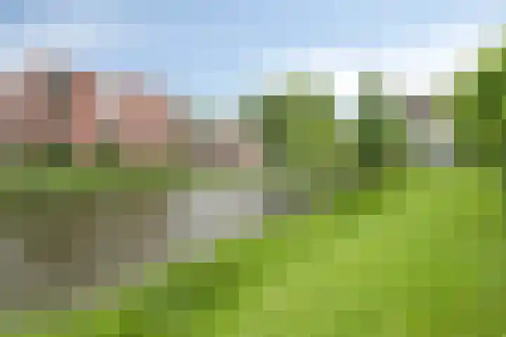 Hoofdweg 194 B Rotterdam thumbnail 33