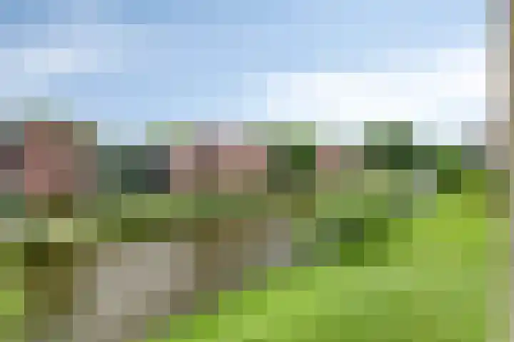 Hoofdweg 194 B Rotterdam thumbnail 8