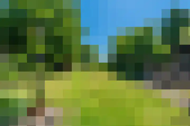 Hoofdweg 196 Bellingwolde thumbnail 14