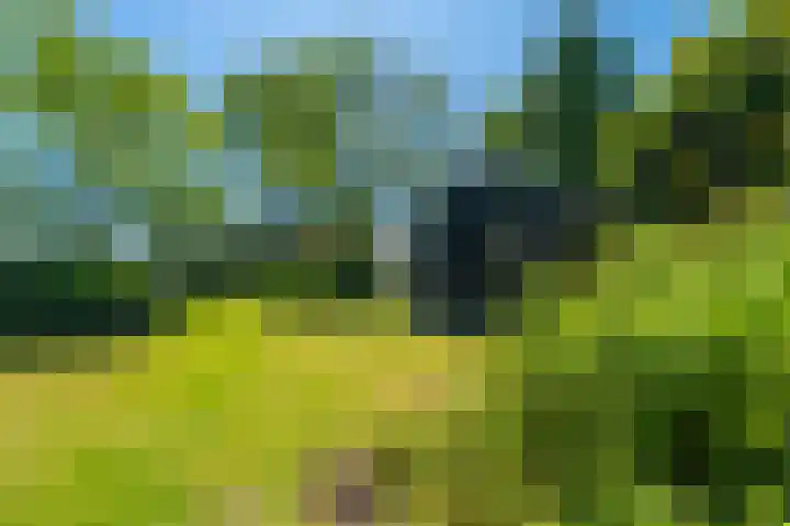 Hoofdweg 196 Bellingwolde thumbnail 15