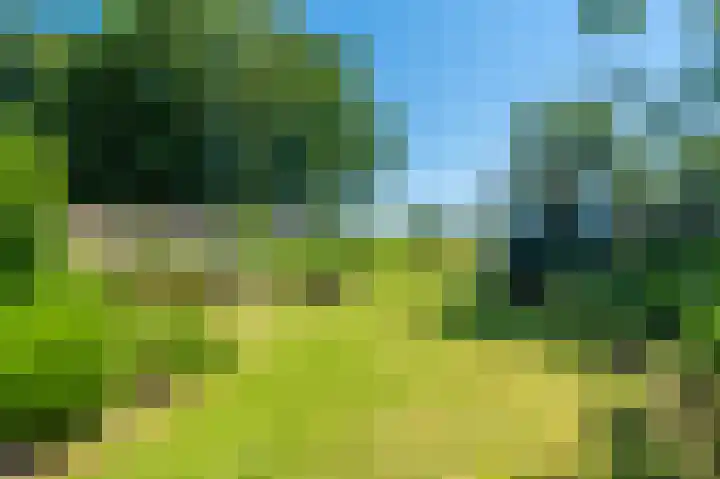 Hoofdweg 196 Bellingwolde thumbnail 17