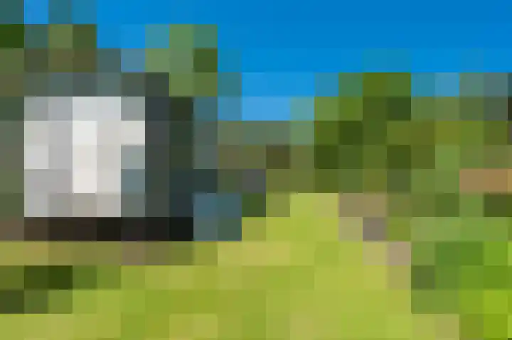 Hoofdweg 196 Bellingwolde thumbnail 19