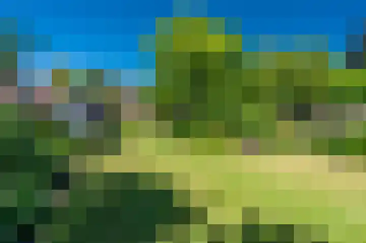 Hoofdweg 196 Bellingwolde thumbnail 20
