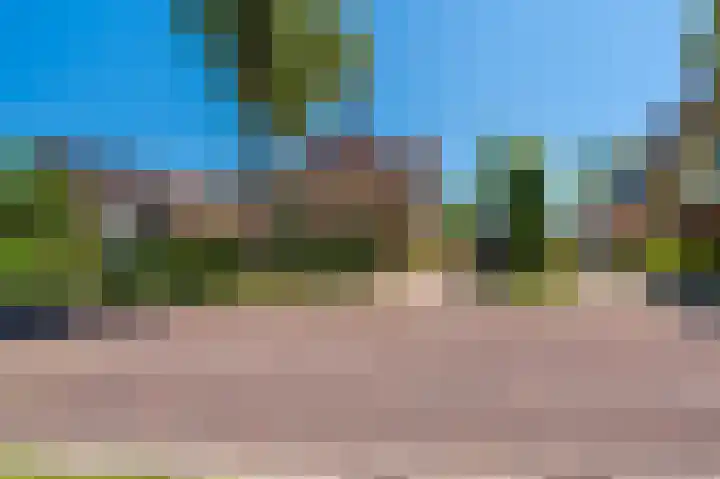 Hoofdweg 196 Bellingwolde thumbnail 4