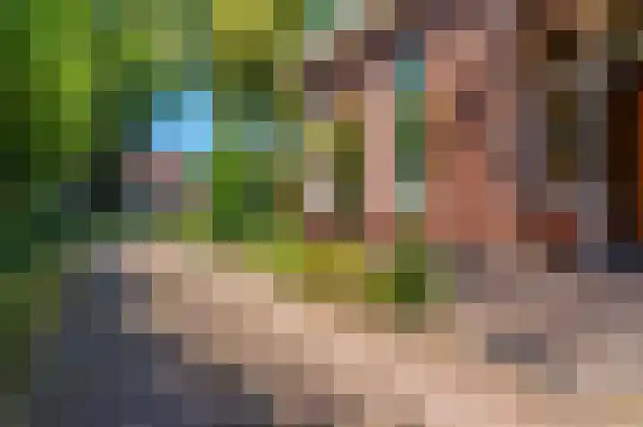 Hoofdweg 196 Bellingwolde thumbnail 8