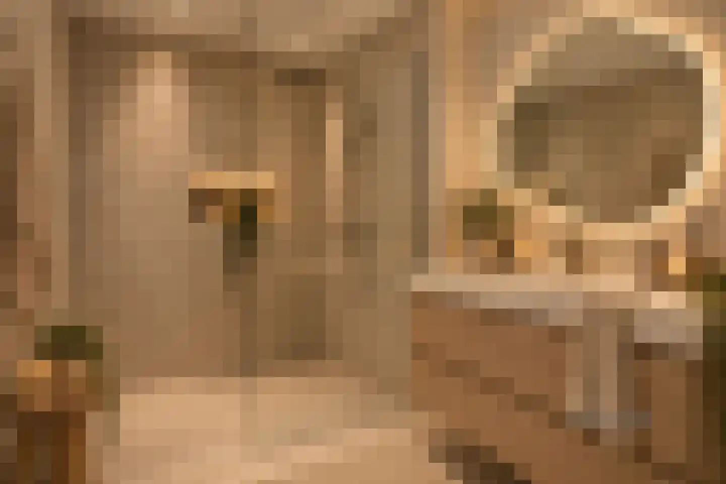 Hoofdweg 198 D Rotterdam thumbnail 18