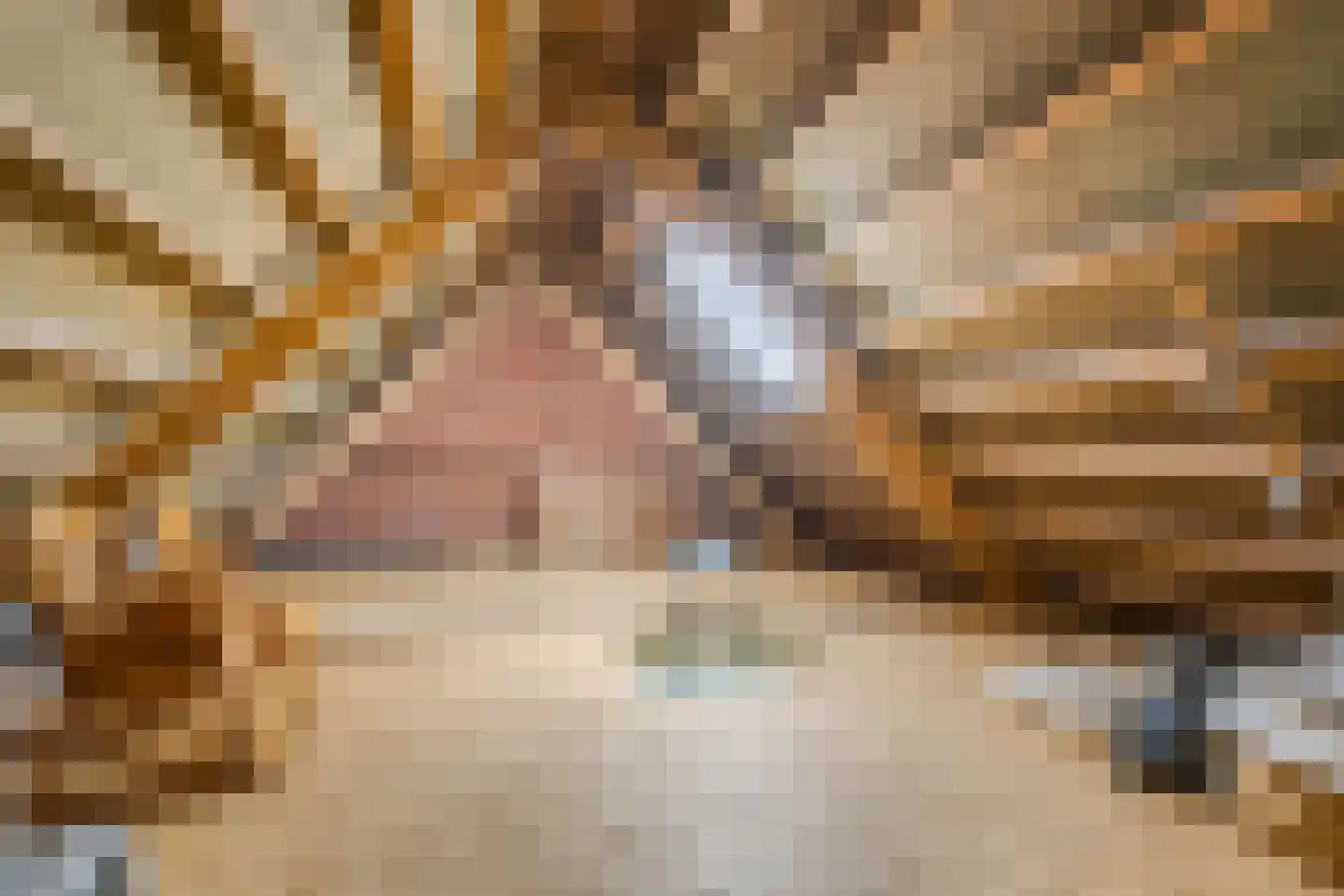 Hoofdweg 2 Godlinze thumbnail 104