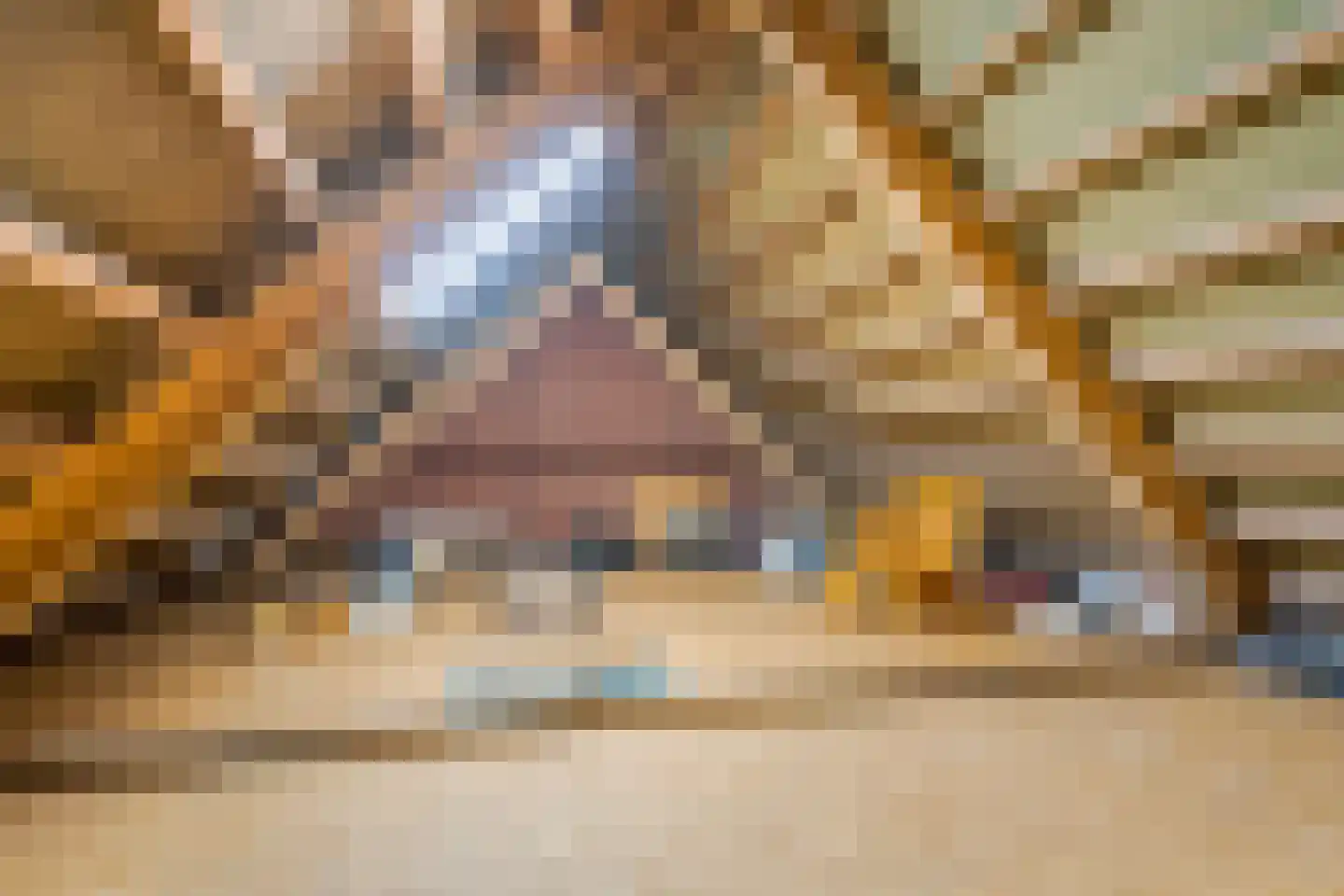 Hoofdweg 2 Godlinze thumbnail 105