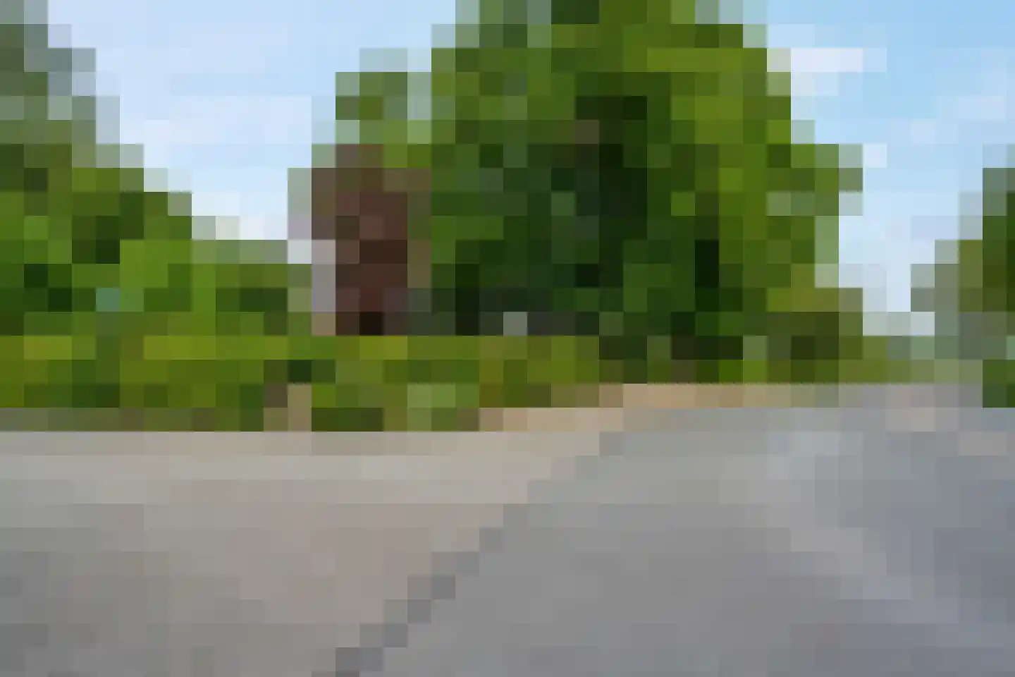 Hoofdweg 2 Godlinze thumbnail 110