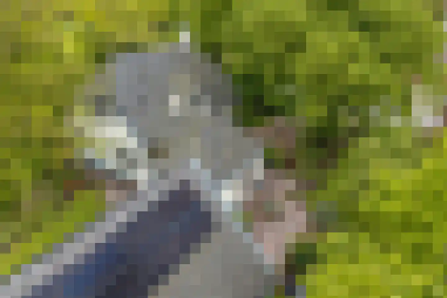 Hoofdweg 2 Godlinze thumbnail 112