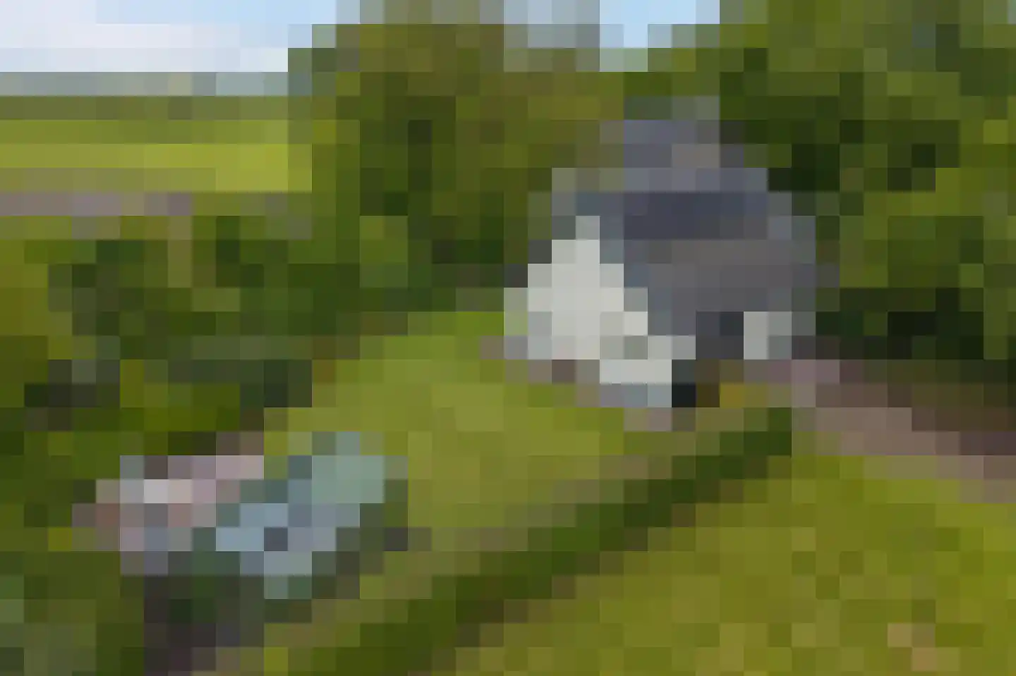 Hoofdweg 2 Godlinze thumbnail 113