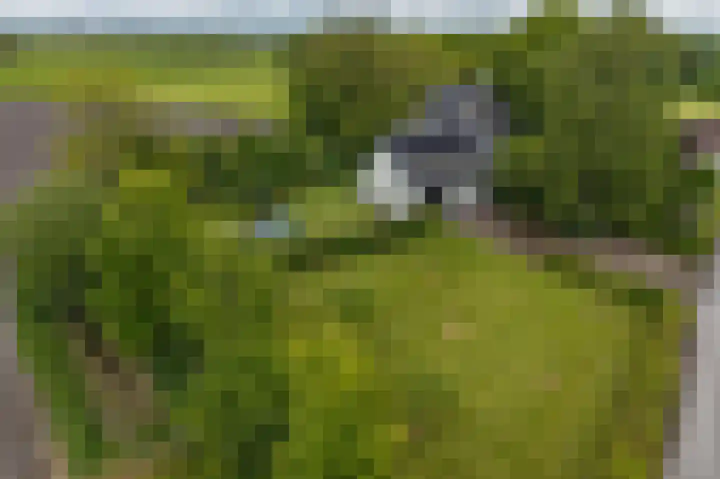 Hoofdweg 2 Godlinze thumbnail 114