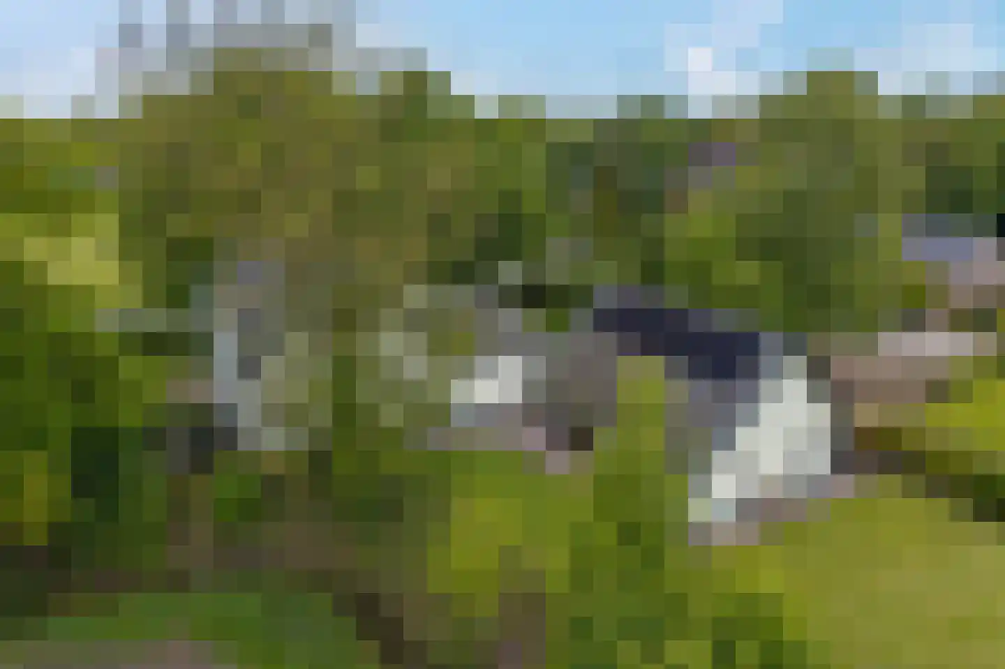 Hoofdweg 2 Godlinze thumbnail 16