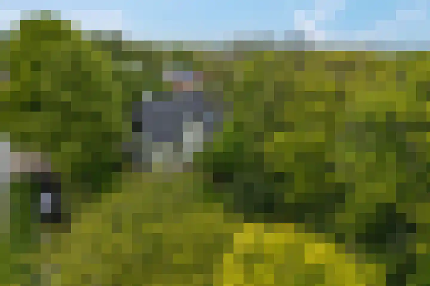 Hoofdweg 2 Godlinze thumbnail 17