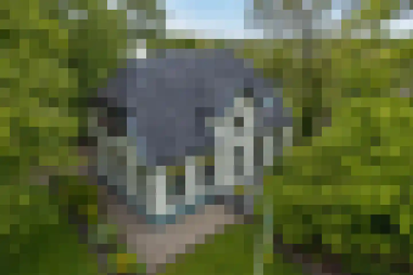Hoofdweg 2 Godlinze thumbnail 19