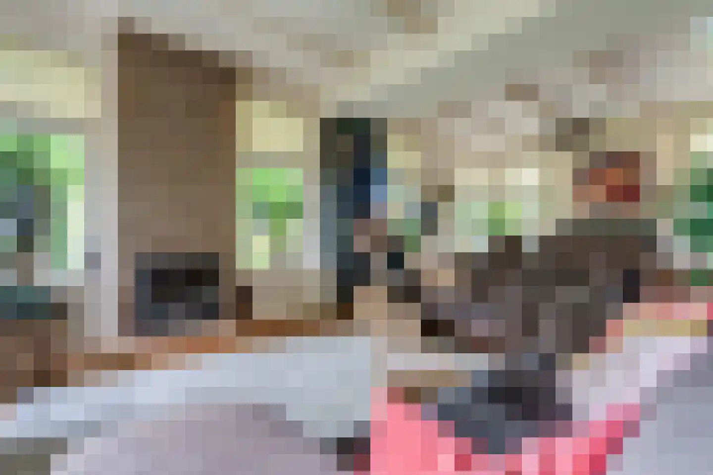 Hoofdweg 2 Godlinze thumbnail 27