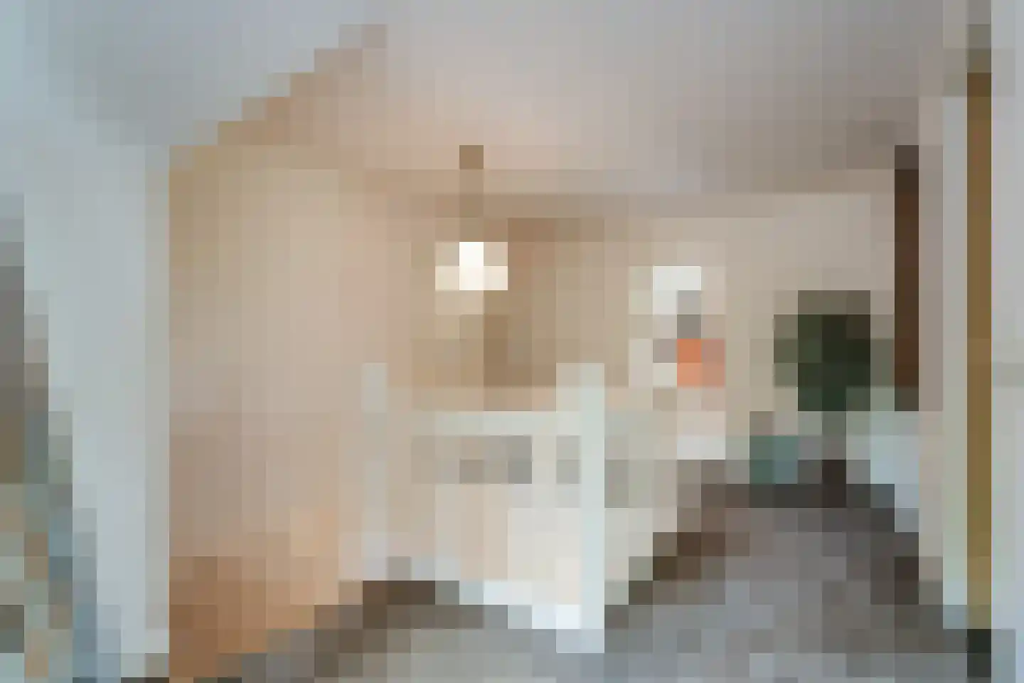 Hoofdweg 2 Godlinze thumbnail 59