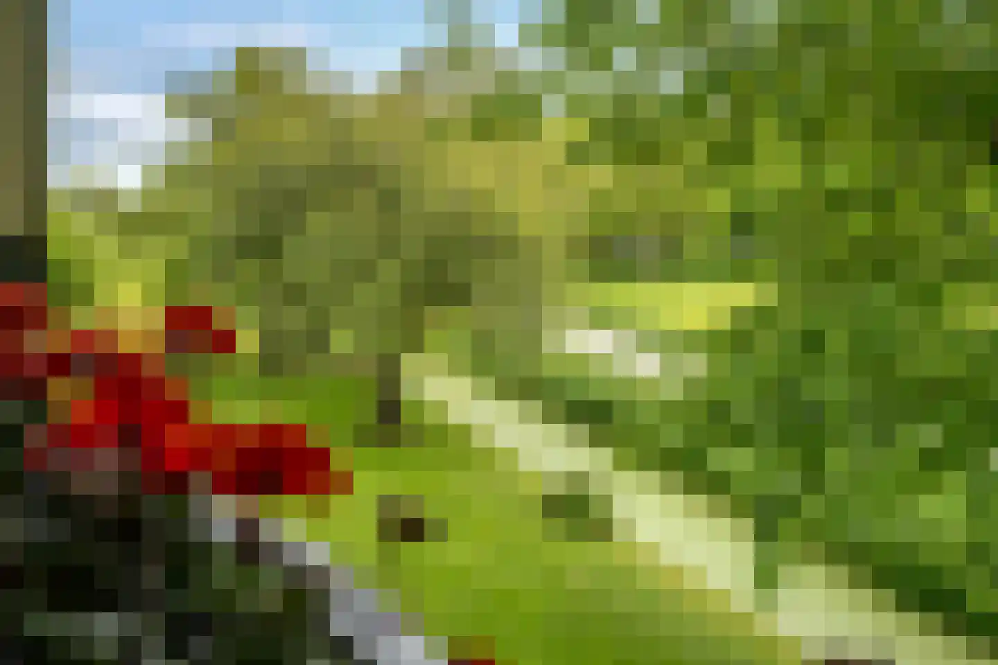 Hoofdweg 2 Godlinze thumbnail 65
