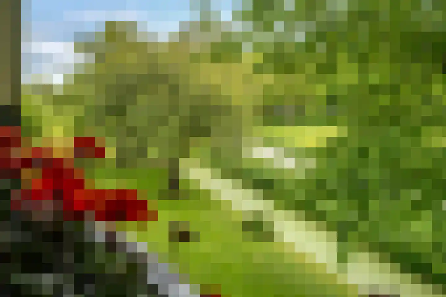 Hoofdweg 2 Godlinze thumbnail 7