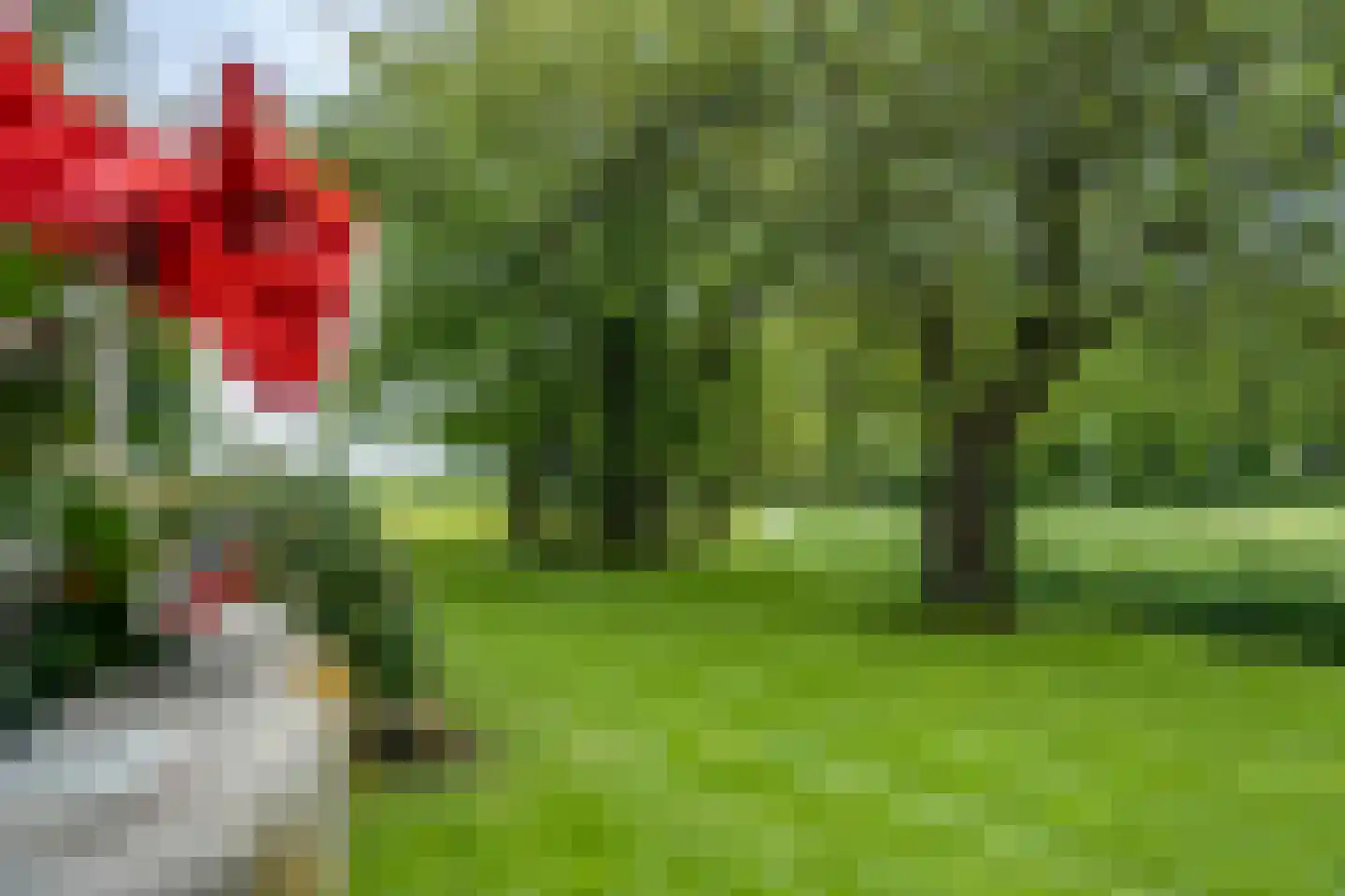 Hoofdweg 2 Godlinze thumbnail 82
