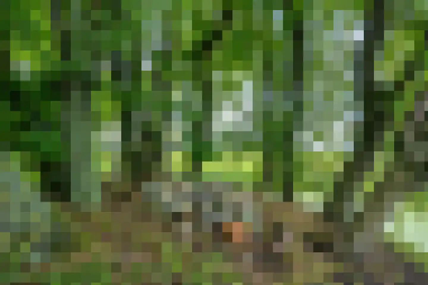 Hoofdweg 2 Godlinze thumbnail 84