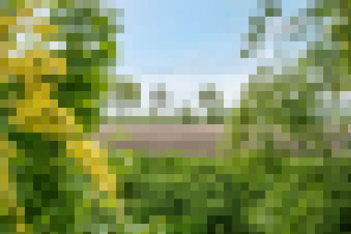 Hoofdweg 2 Godlinze thumbnail 85