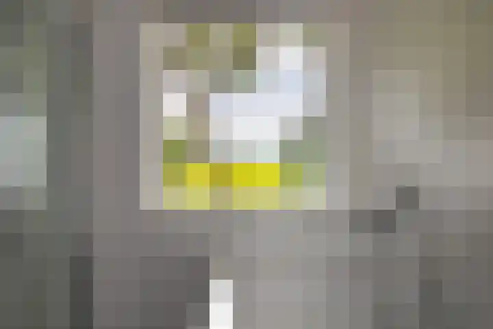 Hoofdweg 2 Kolham thumbnail 15