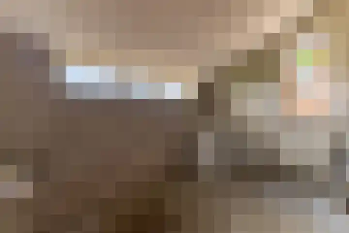 Hoofdweg 2 Kolham thumbnail 16