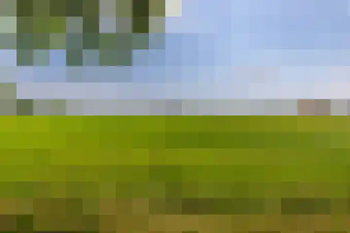 Hoofdweg 2 Kolham thumbnail 25