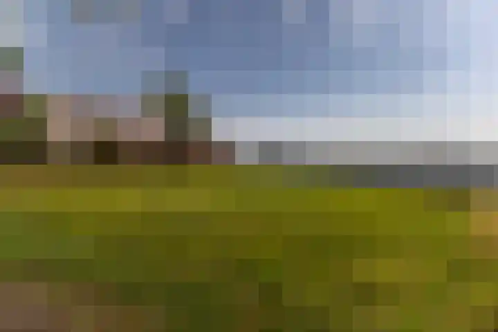 Hoofdweg 2 Kolham thumbnail 26