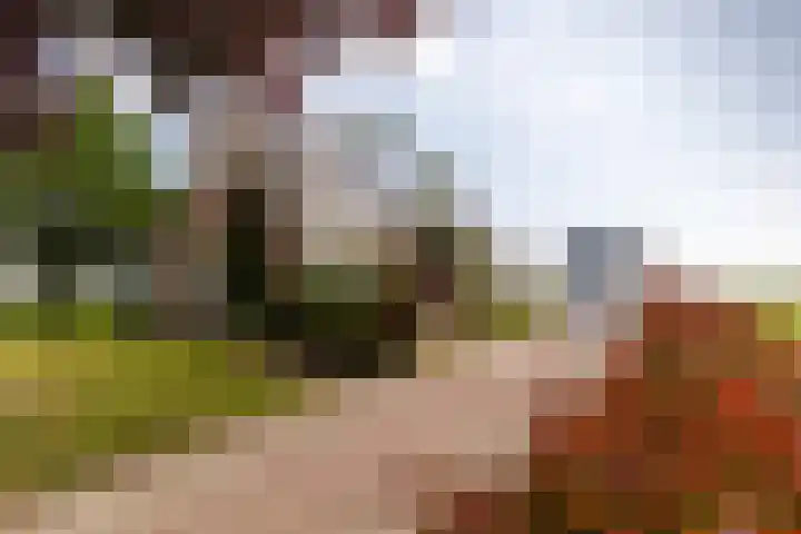 Hoofdweg 2 Kolham thumbnail 32